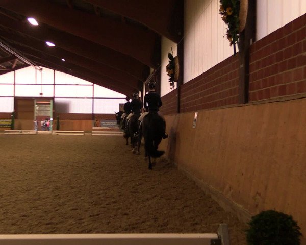 Reitturnier Iserlohn-Kalthof 2016