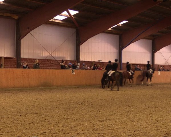 Reitturnier Iserlohn-Kalthof 2016
