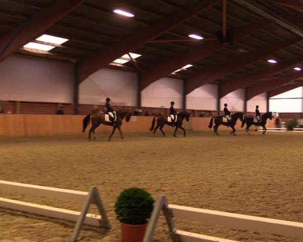Reitturnier Iserlohn-Kalthof 2016