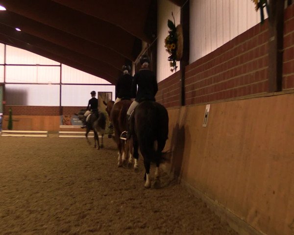 Reitturnier Iserlohn-Kalthof 2016