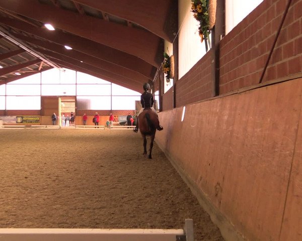 Reitturnier Iserlohn-Kalthof 2016