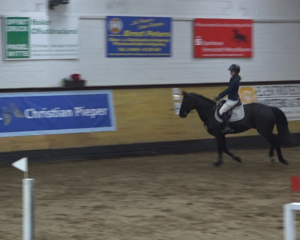 Reitturnier Heide 2021