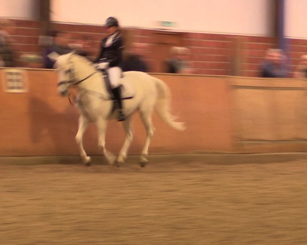 Reitturnier Iserlohn-Kalthof 2016