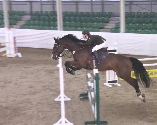 Late-Entry Zweibrücken 2016