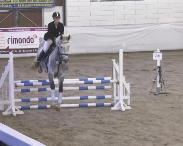 Late-Entry Zweibrücken 2016