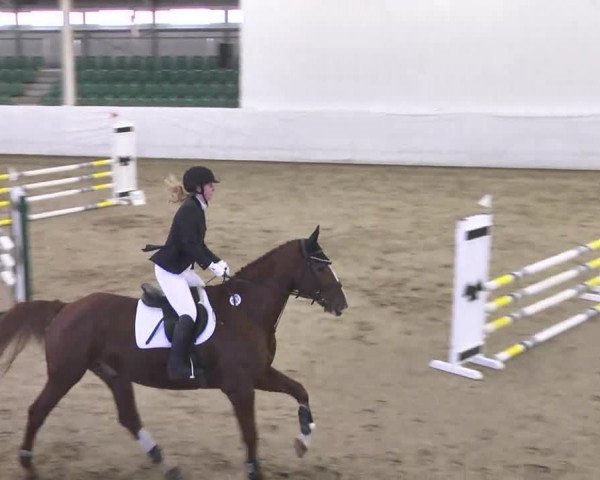 Late-Entry Zweibrücken 2016