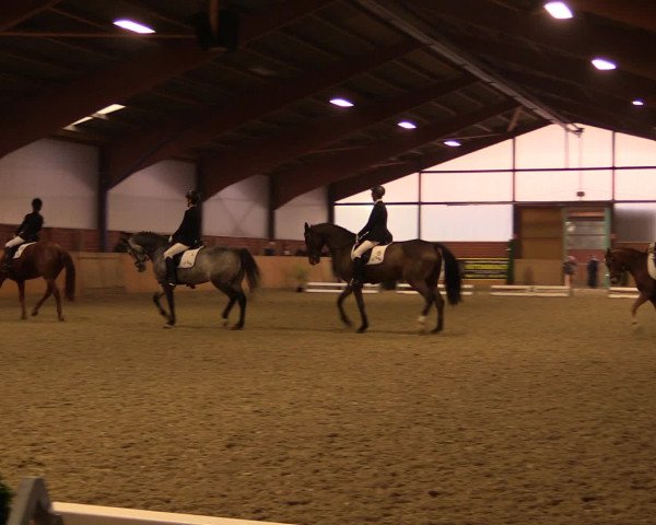 Reitturnier Iserlohn-Kalthof 2016