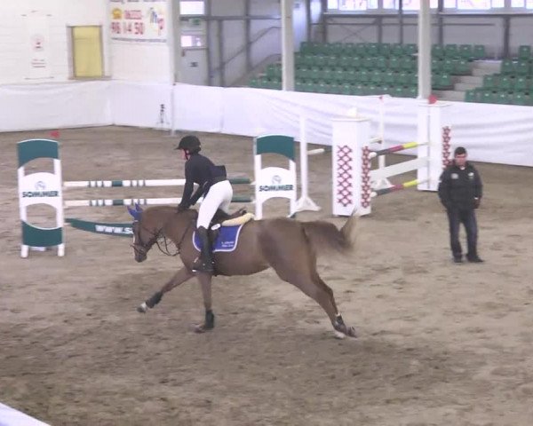 Late-Entry Zweibrücken 2016
