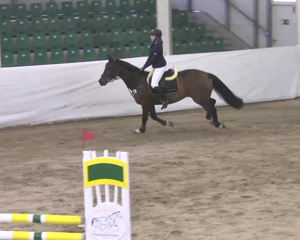 Late-Entry Zweibrücken 2016