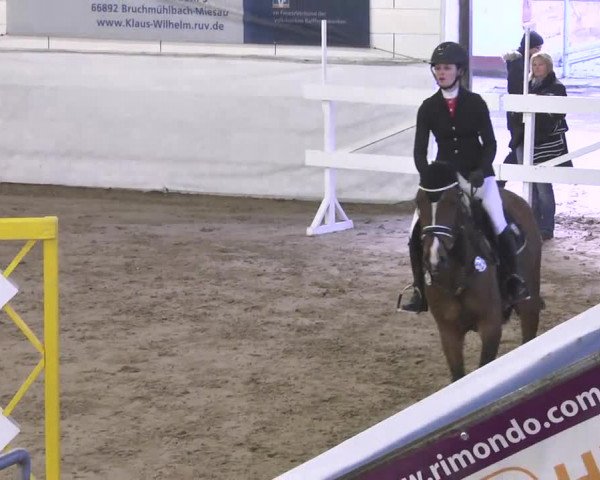 Late-Entry Zweibrücken 2016