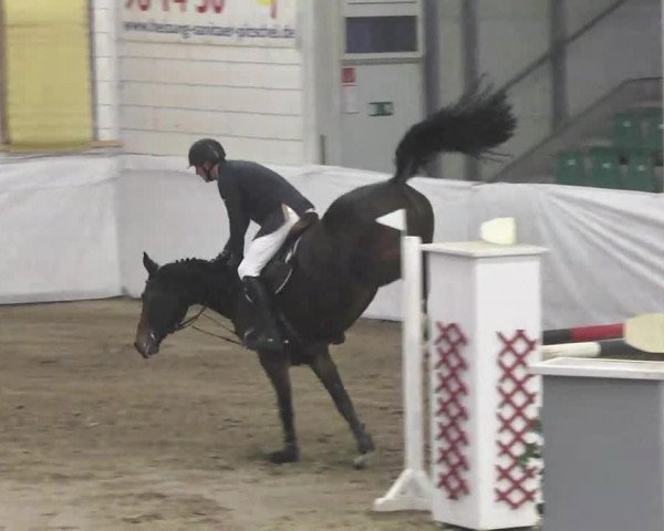 Late-Entry Zweibrücken 2016