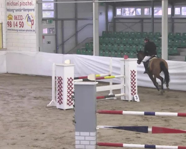 Late-Entry Zweibrücken 2016