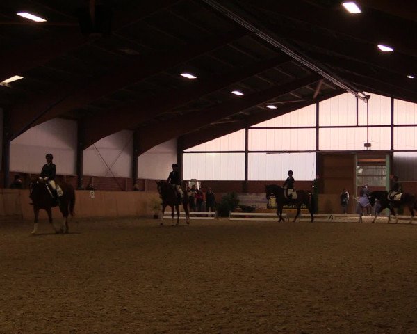 Reitturnier Iserlohn-Kalthof 2016