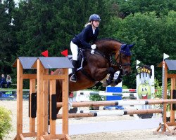 jumper Applebee 2 (Rhinelander, 2010, from Arko III)