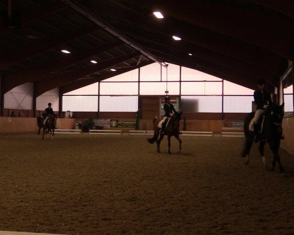 Reitturnier Iserlohn-Kalthof 2016