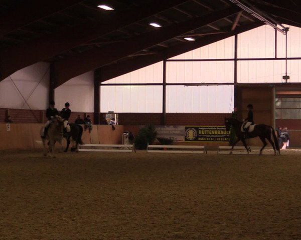Reitturnier Iserlohn-Kalthof 2016
