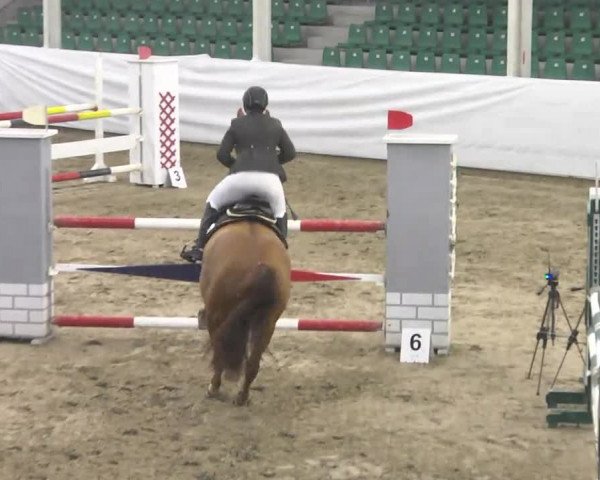 Late-Entry Zweibrücken 2016