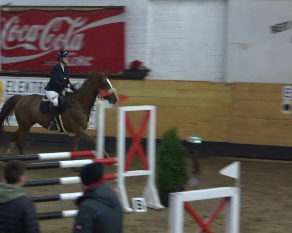 Reitturnier Heide 2021