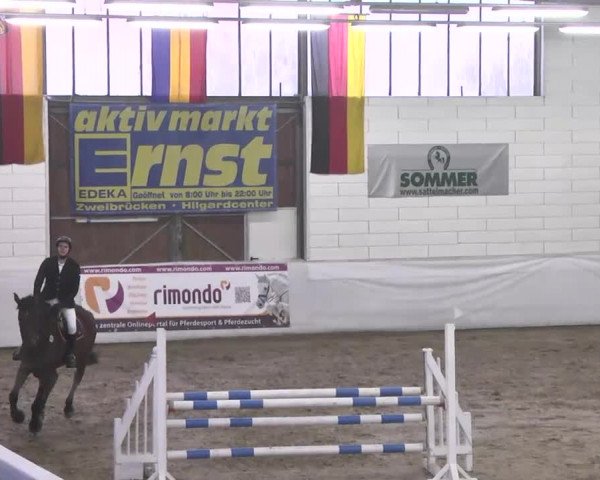 Late-Entry Zweibrücken 2016