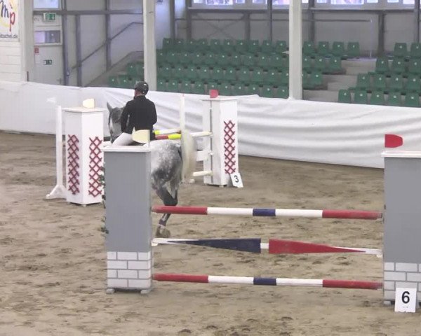 Late-Entry Zweibrücken 2016