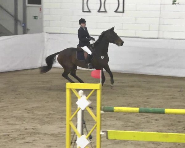 Late-Entry Zweibrücken 2016