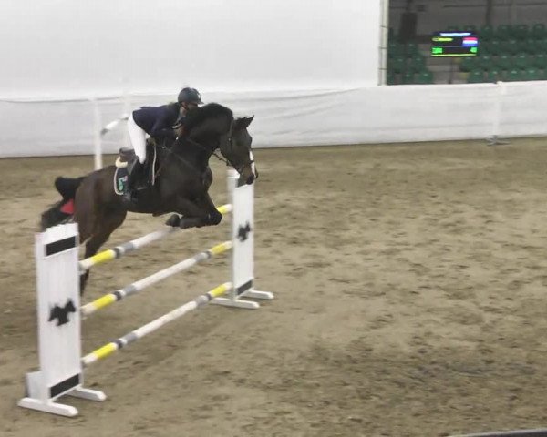 Late-Entry Zweibrücken 2016