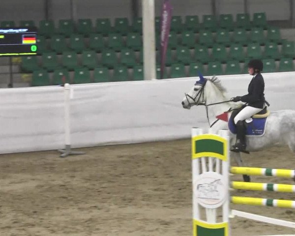 Late-Entry Zweibrücken 2016