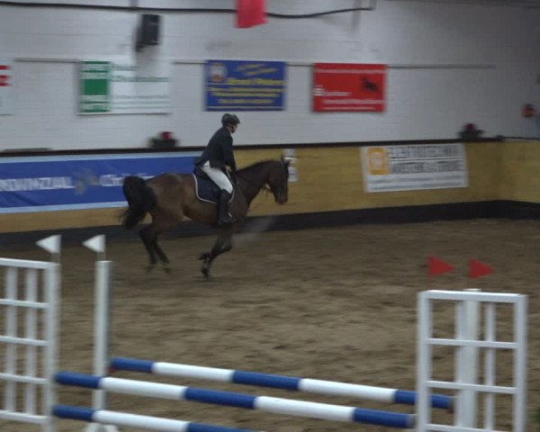 Reitturnier Heide 2021