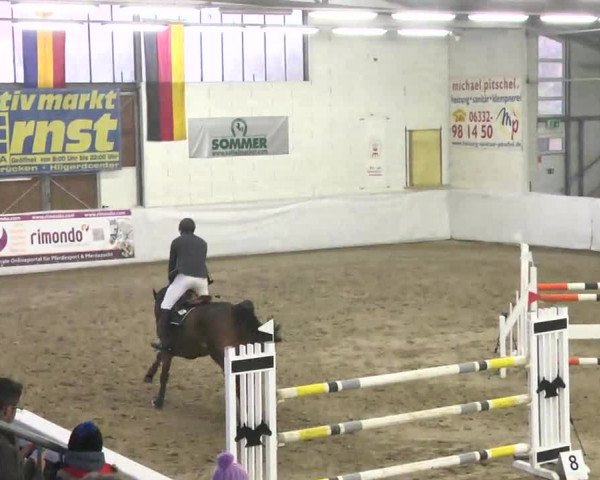 Late-Entry Zweibrücken 2016