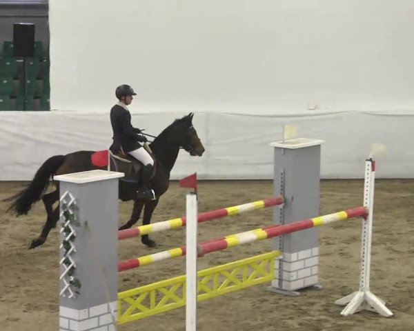 Late-Entry Zweibrücken 2016