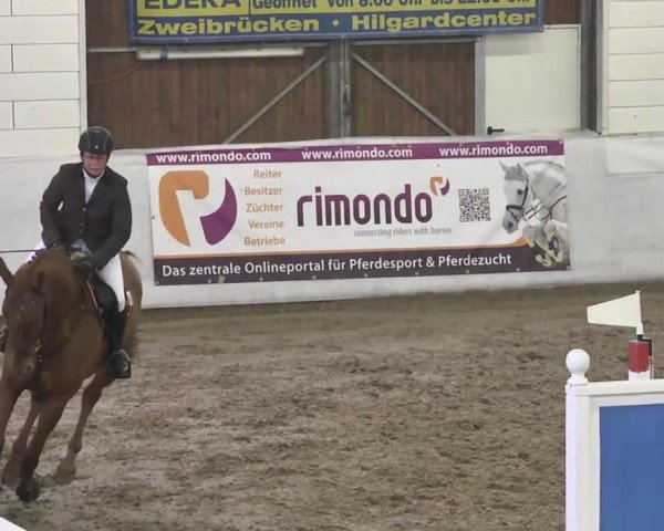 Late-Entry Zweibrücken 2016