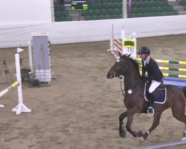 Late-Entry Zweibrücken 2016