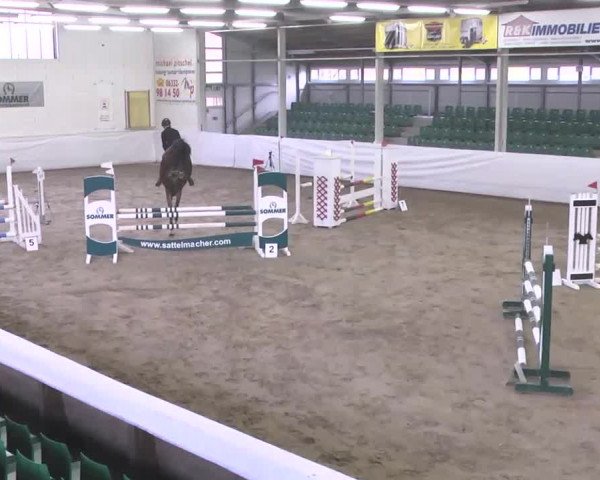 Late-Entry Zweibrücken 2016
