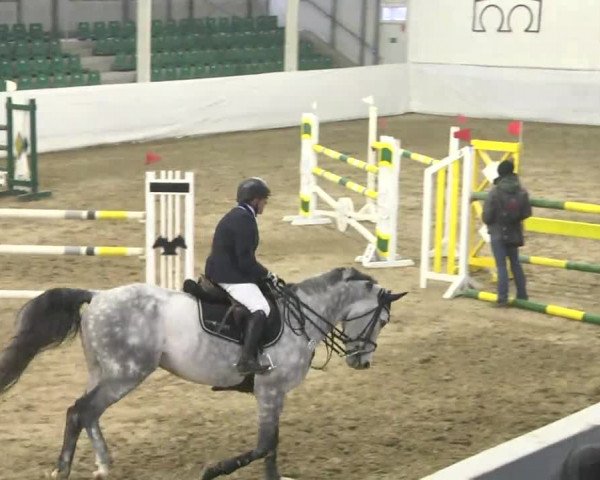 Late-Entry Zweibrücken 2016