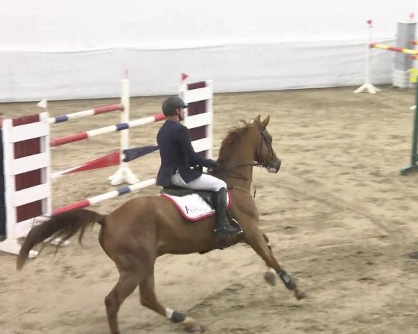 Late-Entry Zweibrücken 2016