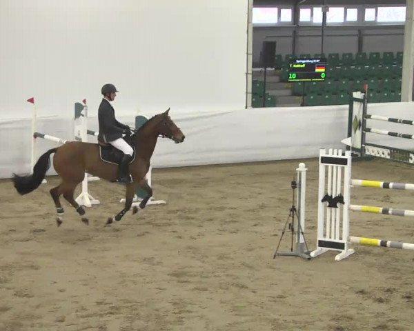 Late-Entry Zweibrücken 2016