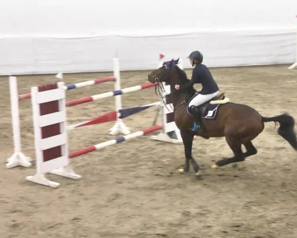 Late-Entry Zweibrücken 2016