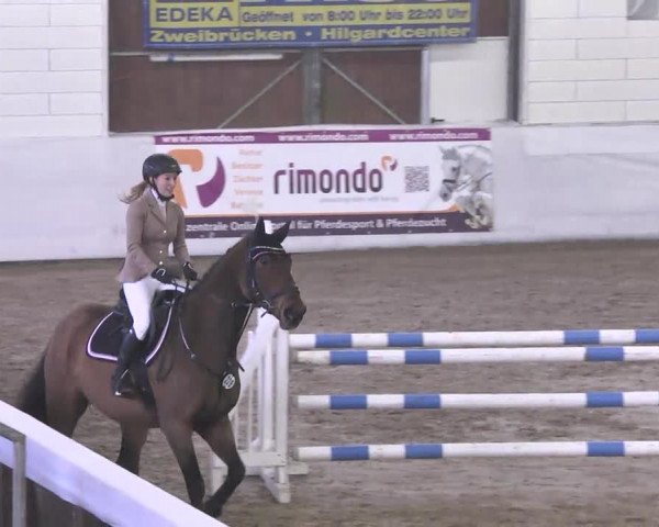 Late-Entry Zweibrücken 2016
