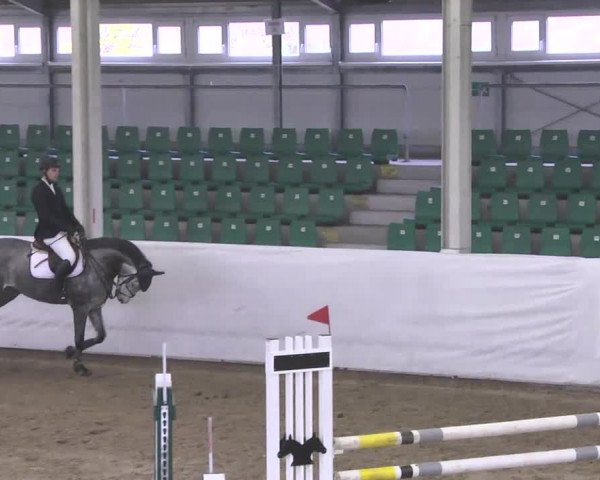 Late-Entry Zweibrücken 2016