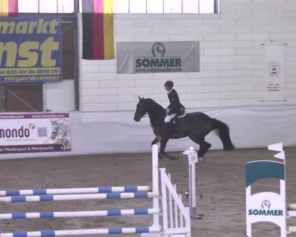 Late-Entry Zweibrücken 2016