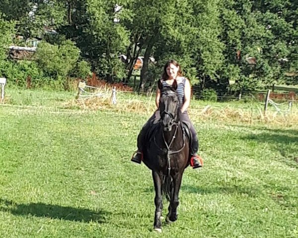 broodmare Ussara (Mecklenburg, 1995, from Ussuri xx)