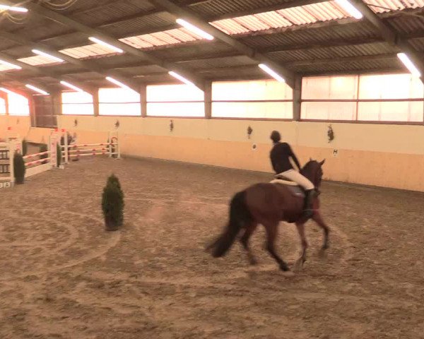 Spring Late-Entry Datteln 2016