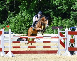 jumper Erbse J (Holsteiner, 2012, from Casall Ask)