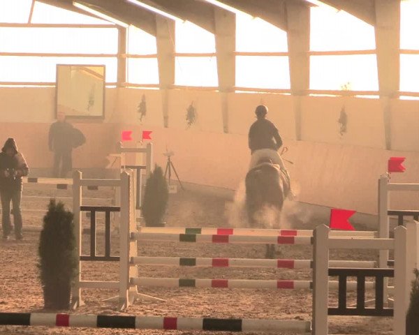 Spring Late-Entry Datteln 2016
