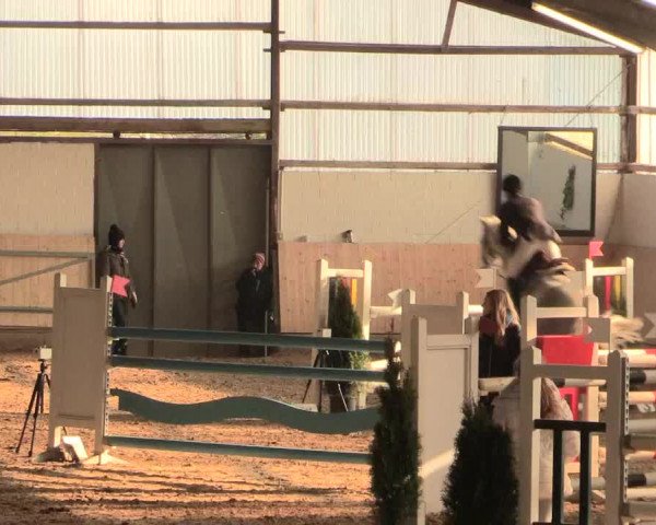 Spring Late-Entry Datteln 2016
