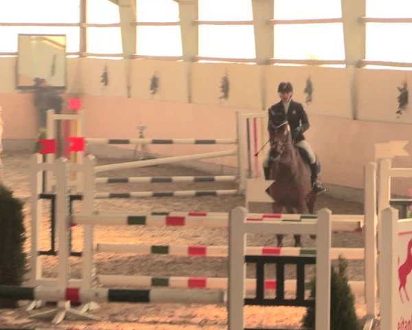 Spring Late-Entry Datteln 2016
