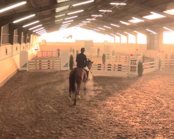 Spring Late-Entry Datteln 2016