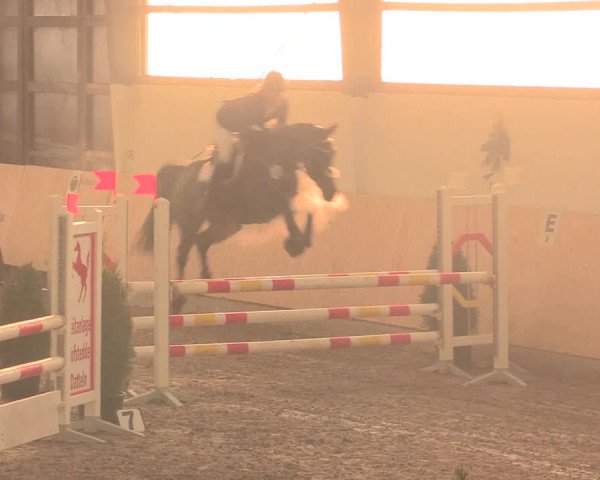 Spring Late-Entry Datteln 2016