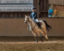 Dressurpferd Vlagberg's Opaal (Welsh Pony (Sek.B), 2010)