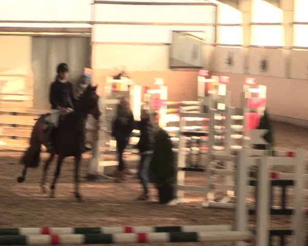Spring Late-Entry Datteln 2016
